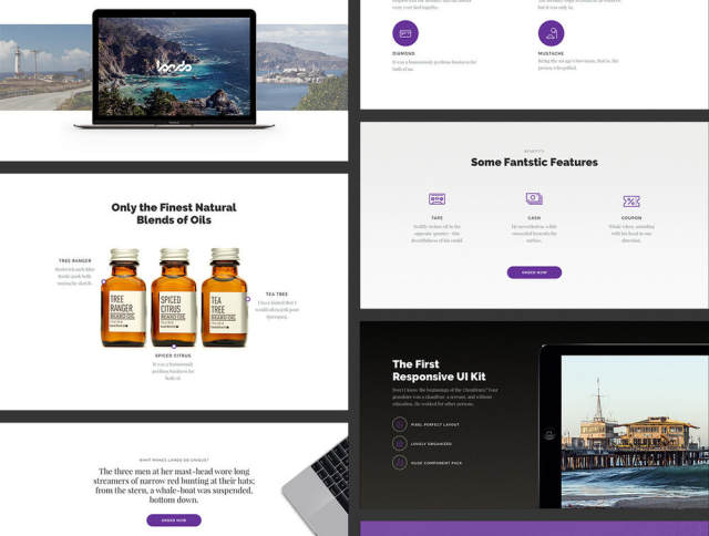 出色的单页和登陆页面，Lando UI Kit