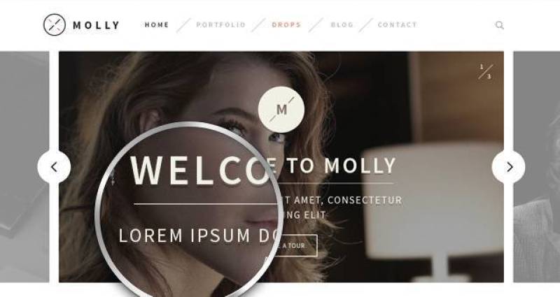 Molly Corporate Psd网站