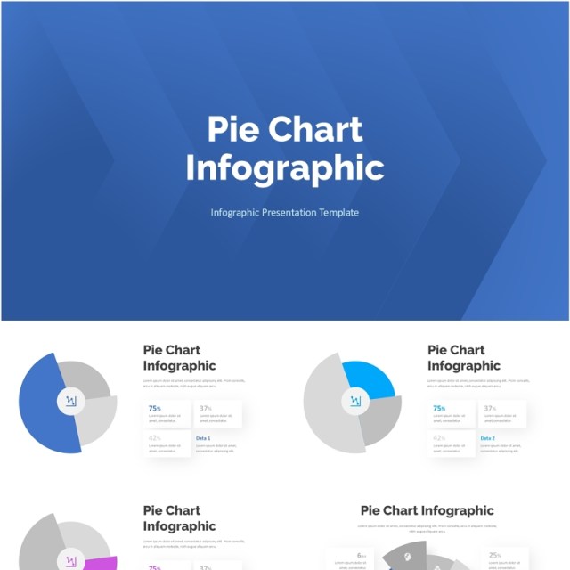 饼图圆形信息图表PPT模板Pie Chart Infographic