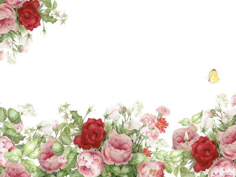 花框架291 - 华丽玫瑰的花框架回来