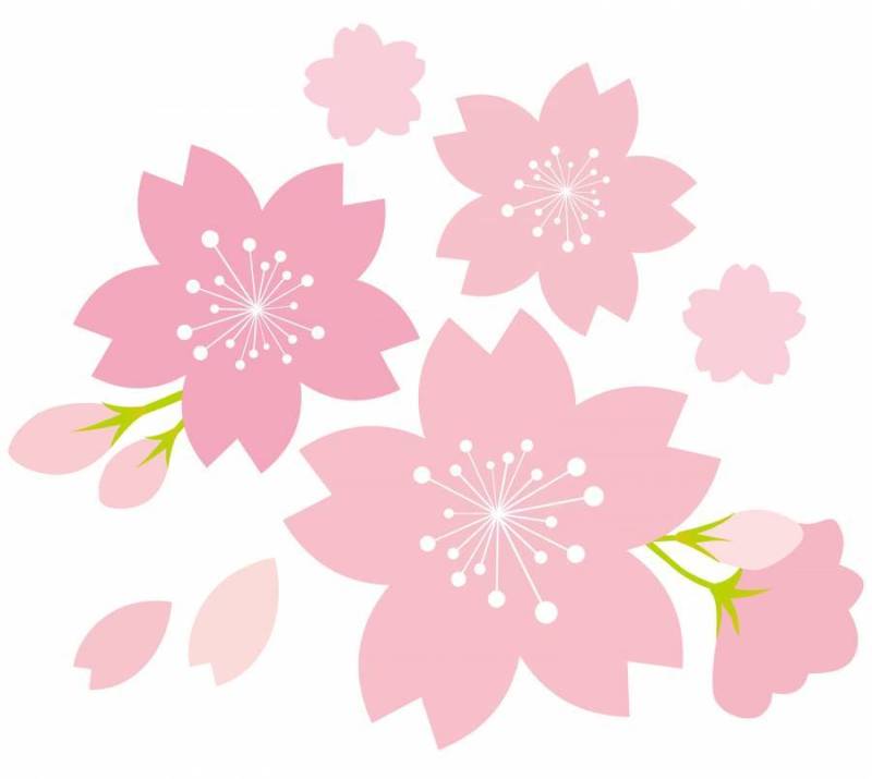 樱花樱花樱花春天花图标粉红色的季节性的感觉