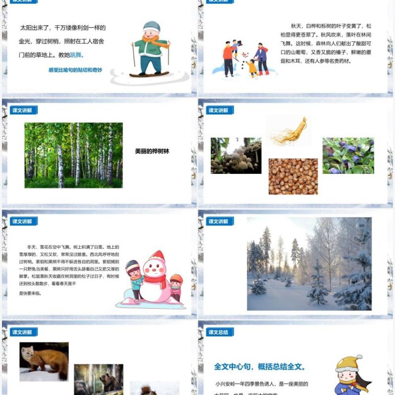 部编版三年级语文上册美丽的小兴安岭课件PPT模板