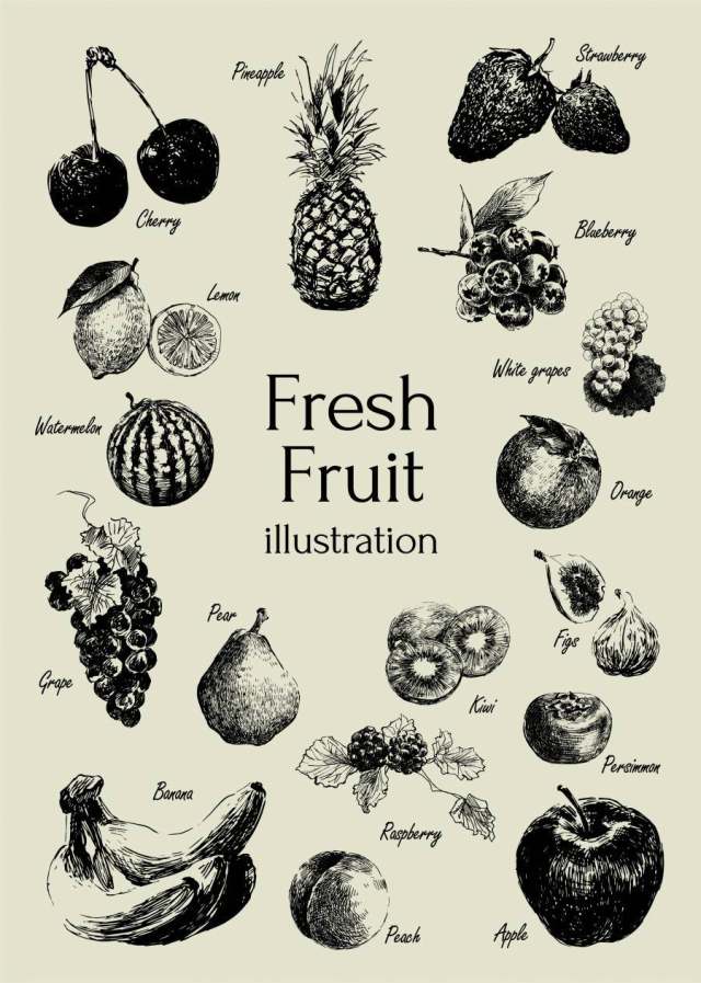 新鲜的水果插图