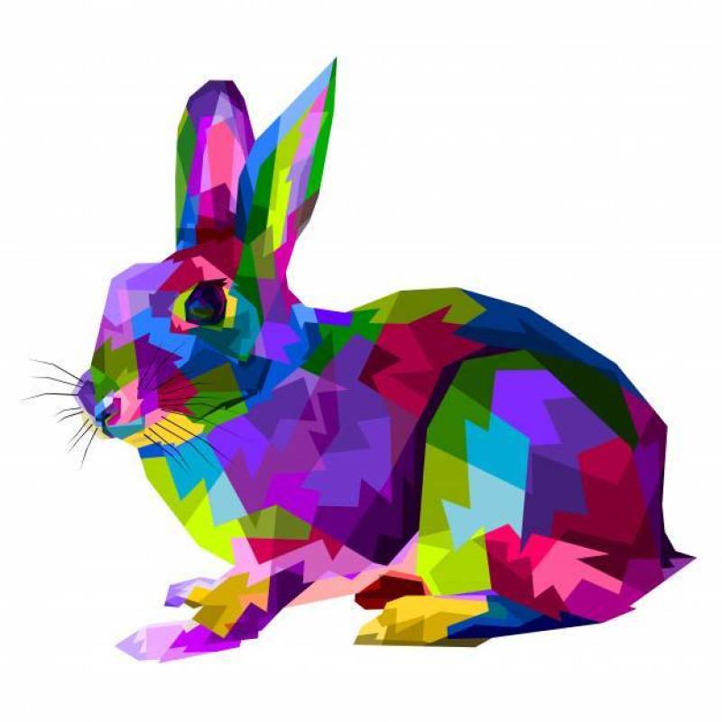 Colorful rabbit on pop art style