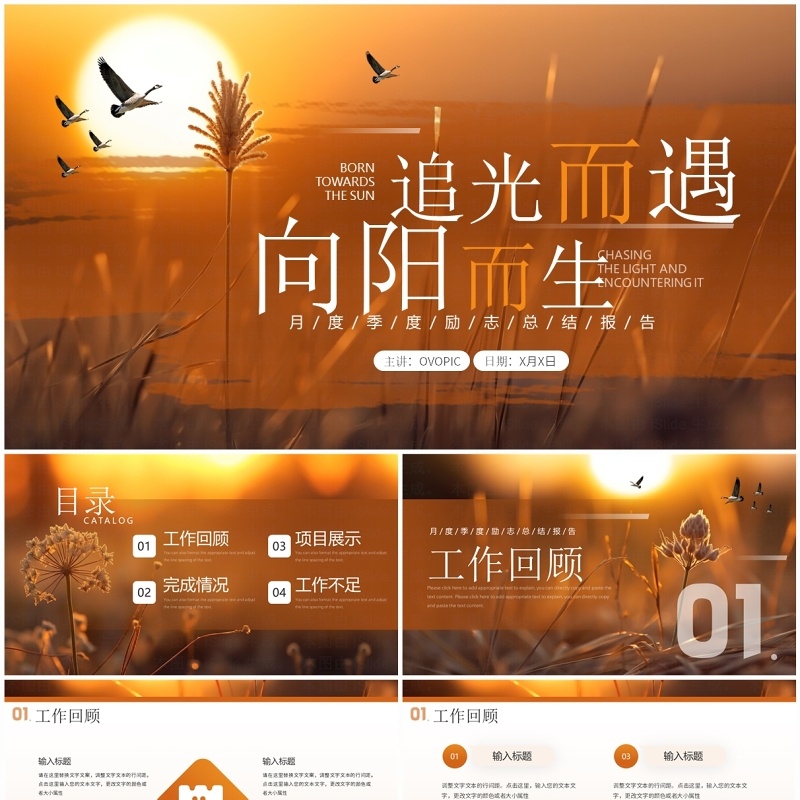 橙色简约风追光而遇向阳而生PPT模板