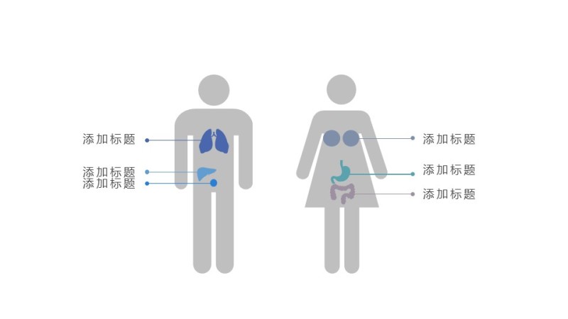 彩色简约汇报数据PPT图表-22