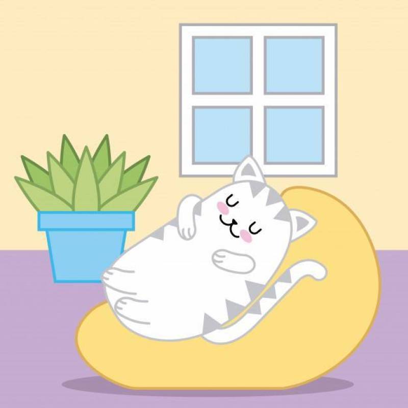 睡觉在坐垫动物动画片的Kawaii猫