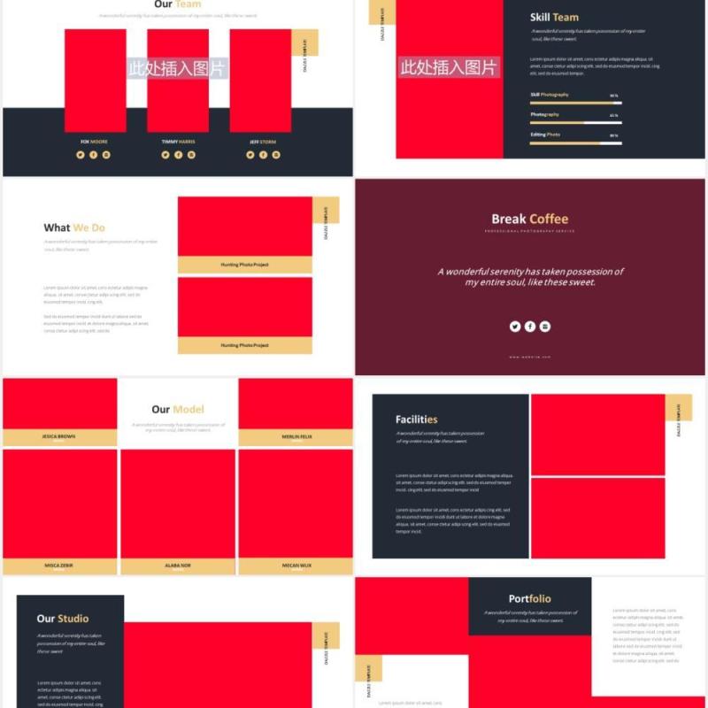 摄影作品图片展示排版设计PPT模板Dazzle Photography Powerpoint Template