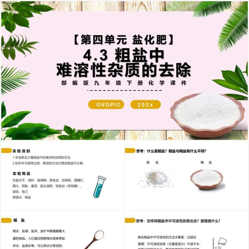 部编版九年级化学下册粗盐中难溶性杂质的去除课件PPT模板