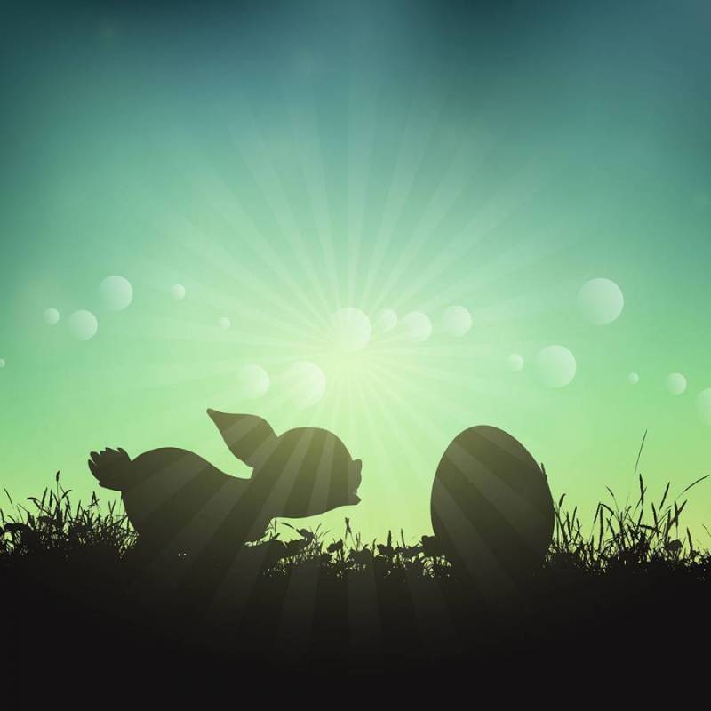 复活节兔子和鸡蛋