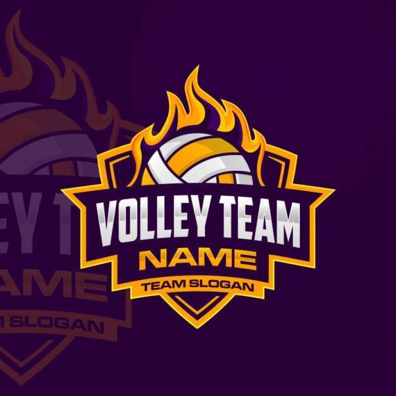 排球队标志