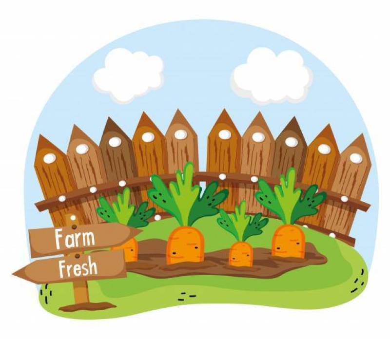 Farm fresh cartoons