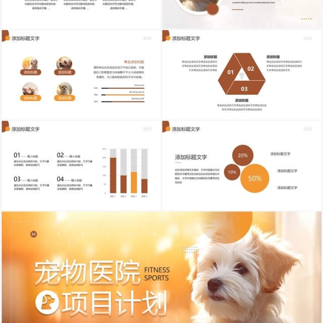 橙色简约风宠物医院项目计划PPT模板 橙色简约风宠物医院项目计划PPT模板