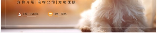 橙色简约风宠物医院项目计划PPT模板 橙色简约风宠物医院项目计划PPT模板
