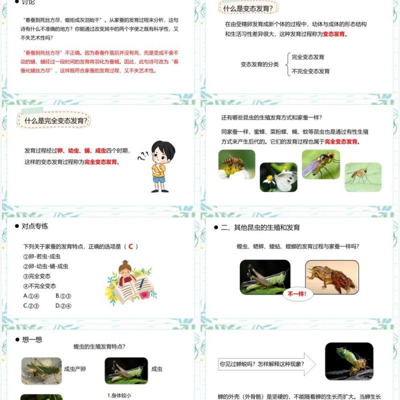 部编版八年级生物下册昆虫的生殖和发育课件PPT模板 部编版八年级生物下册昆虫的生殖和发育课件PPT模板