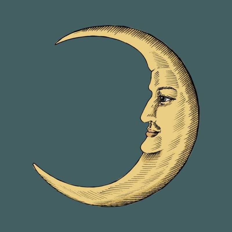 新月形月亮的手拉的剪影