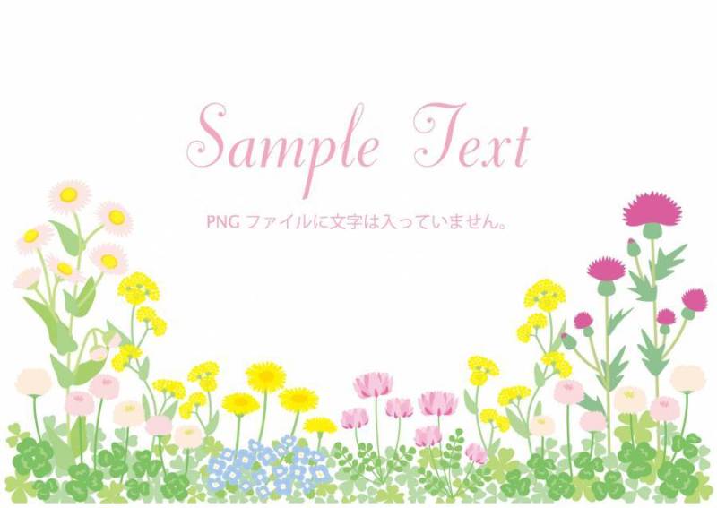 在02春天的野花框架02