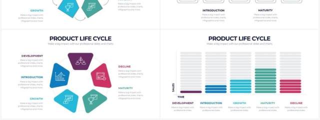 国外多彩项目产品生命周期PPT信息图表素材Product Life Cycle Powerpoint Infographics