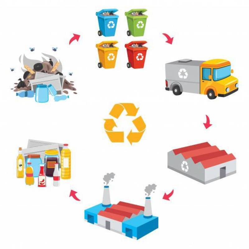 垃圾回收过程的传染媒介例证