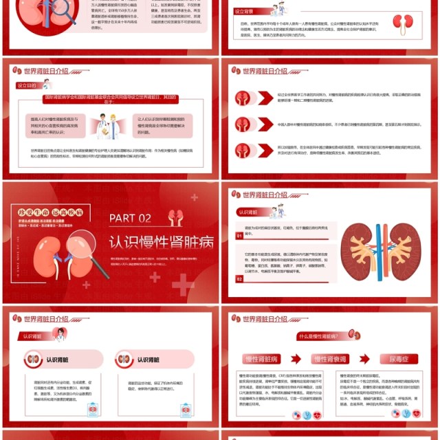 红色简约风世界肾脏日介绍PPT模板