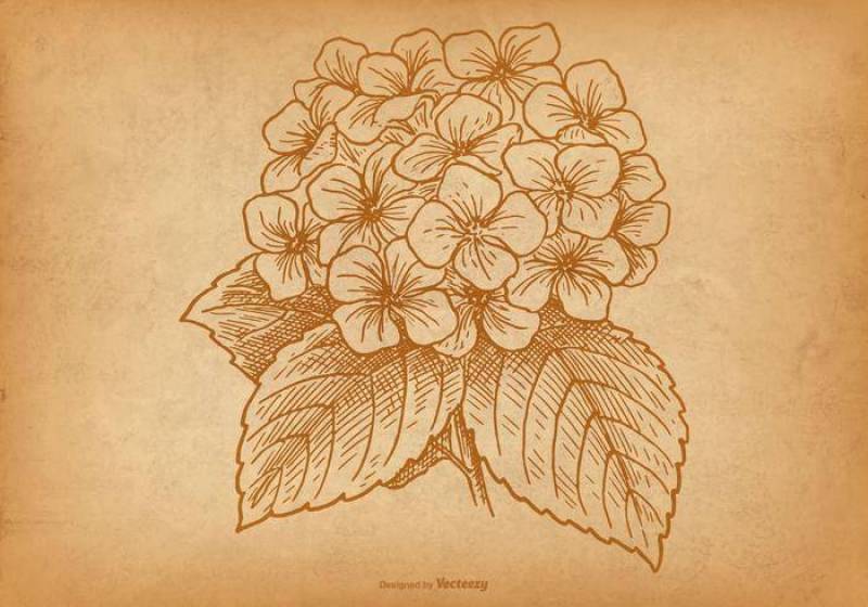 复古花背景