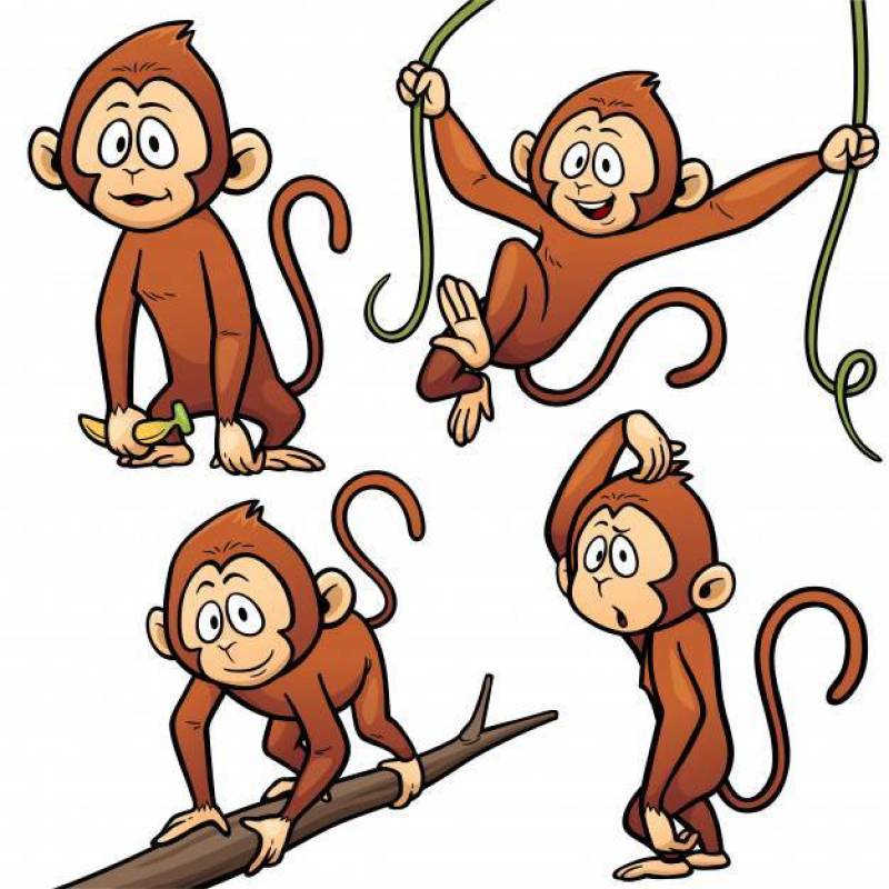 Cartoon Monkey Character