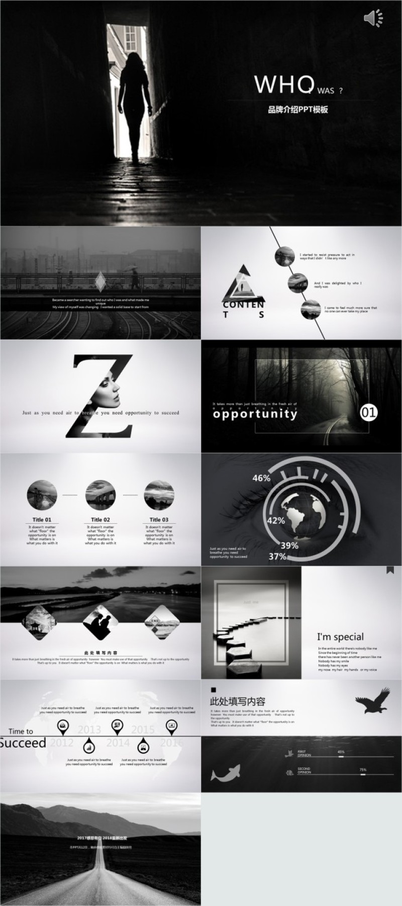 简约品牌介绍PPT模板