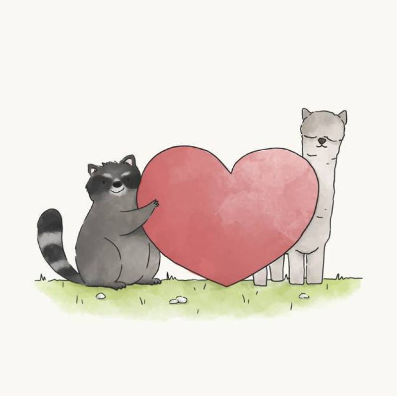 浣熊和喇嘛的爱情