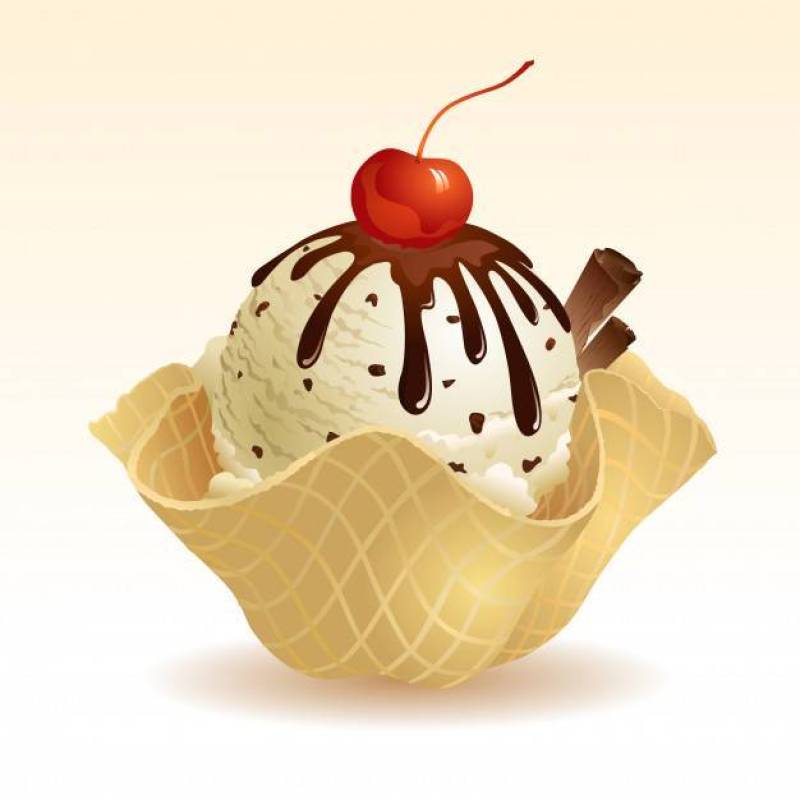 Vanilla Chocolate chip ice cream with waffle basket