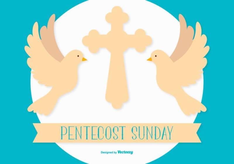 五旬节星期天平面样式图