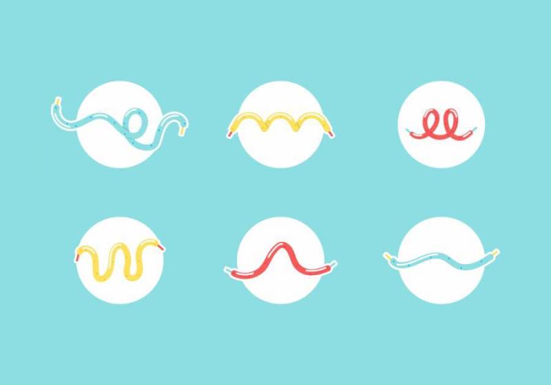 鞋带 矢量图标包