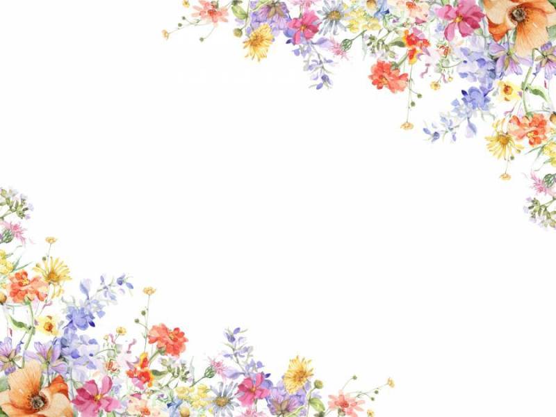 花框架 - jinias和飞燕草的装饰框架