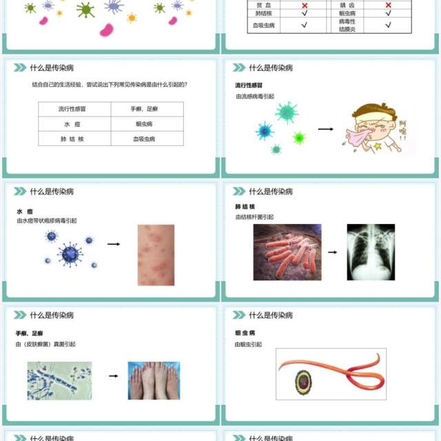 部编版八年级生物下册传染病及其预防课件PPT模板