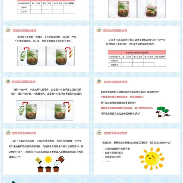 教科版五年级科学上册改变生态瓶PPT模板