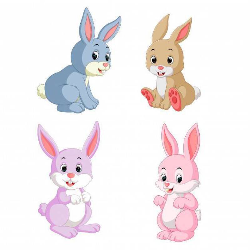 可爱的兔子卡通