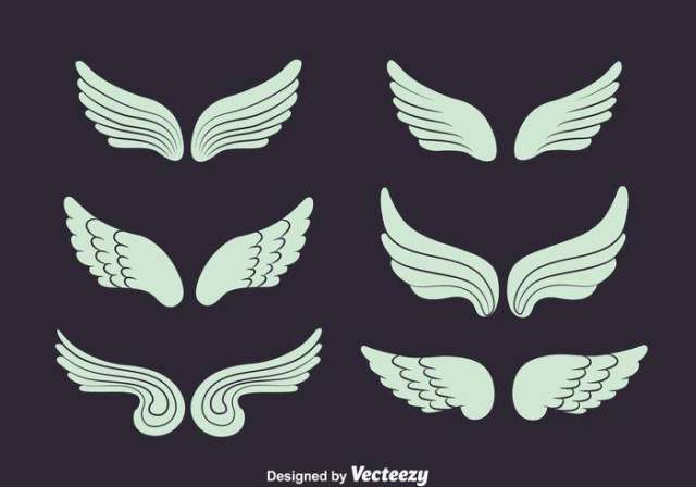 天使的翅膀集合矢量