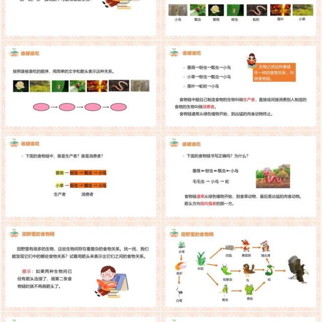 教科版五年级科学上册食物链和食物网PPT模板