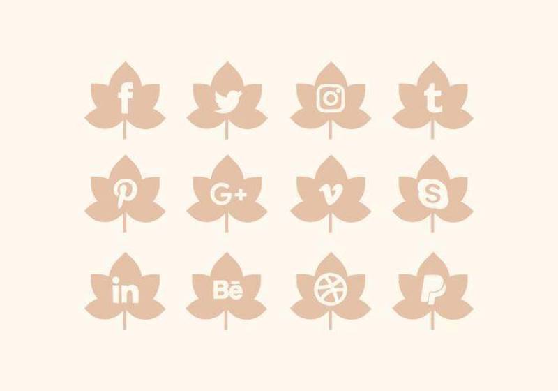 社交媒体图标的矢量集合