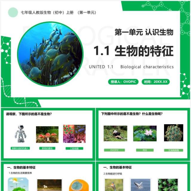 部编版七年级生物上册生物的特征PPT模板 部编版七年级生物上册生物的特征PPT模板
