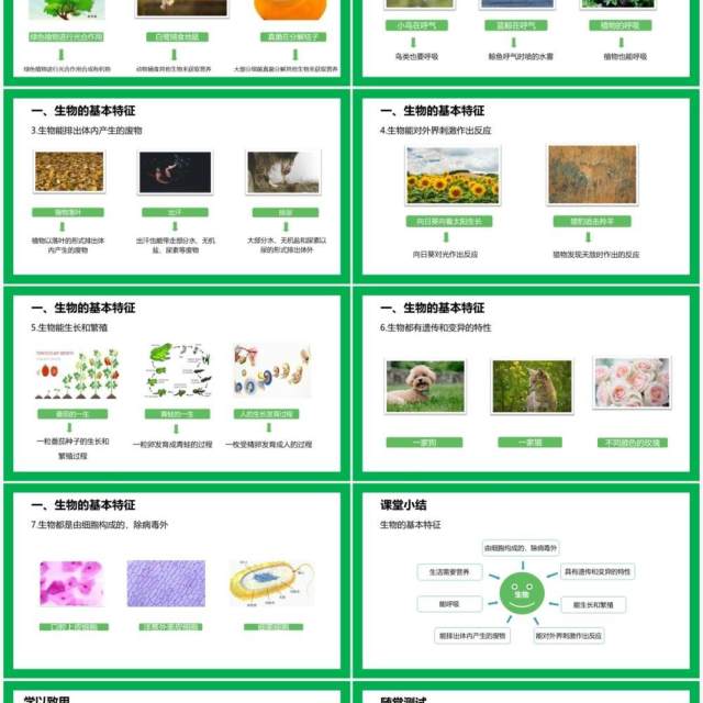 部编版七年级生物上册生物的特征PPT模板 部编版七年级生物上册生物的特征PPT模板