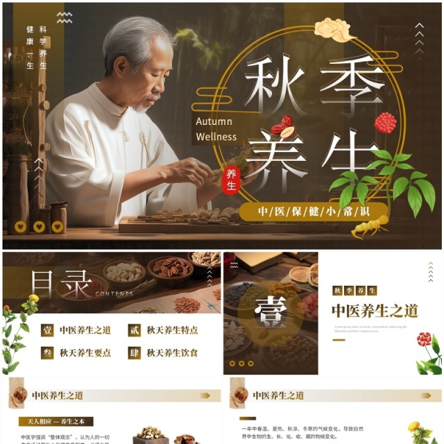 棕色中国风秋季养生中医保健知识PPT模板 棕色中国风秋季养生中医保健知识PPT模板