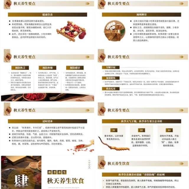 棕色中国风秋季养生中医保健知识PPT模板 棕色中国风秋季养生中医保健知识PPT模板