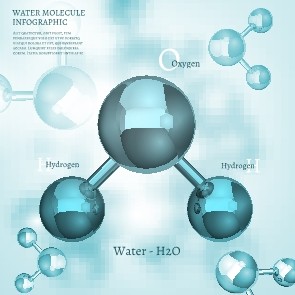 信息图表生物气泡18 信息图表生物气泡18