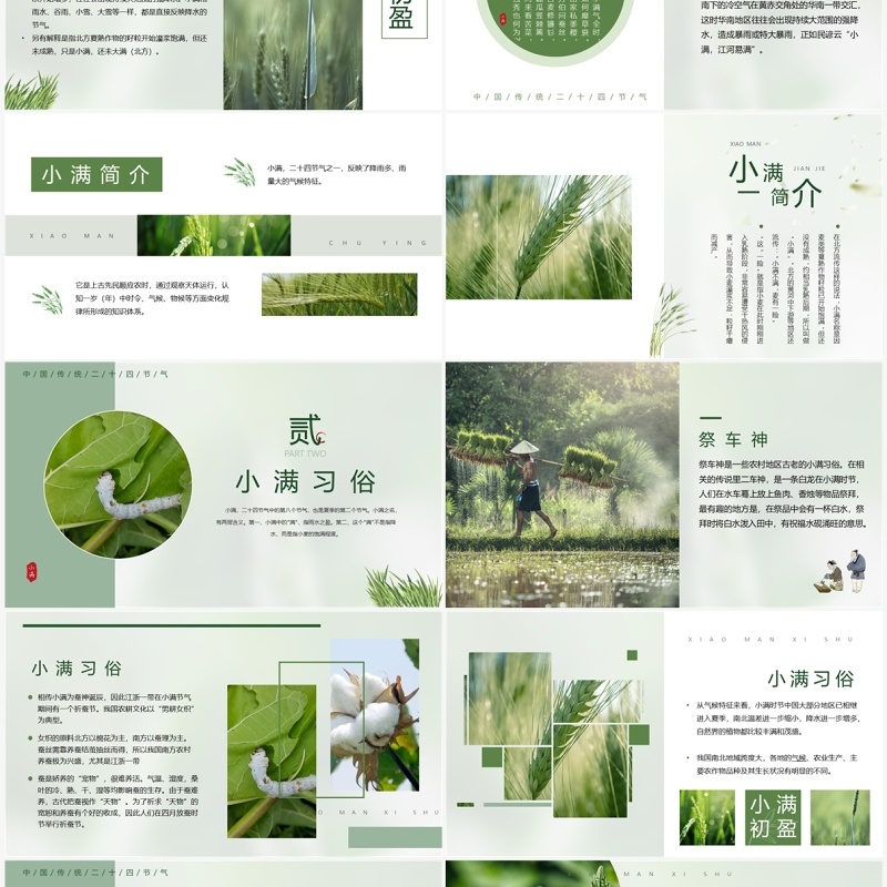 绿色中国风二十四节气之小满PPT模板