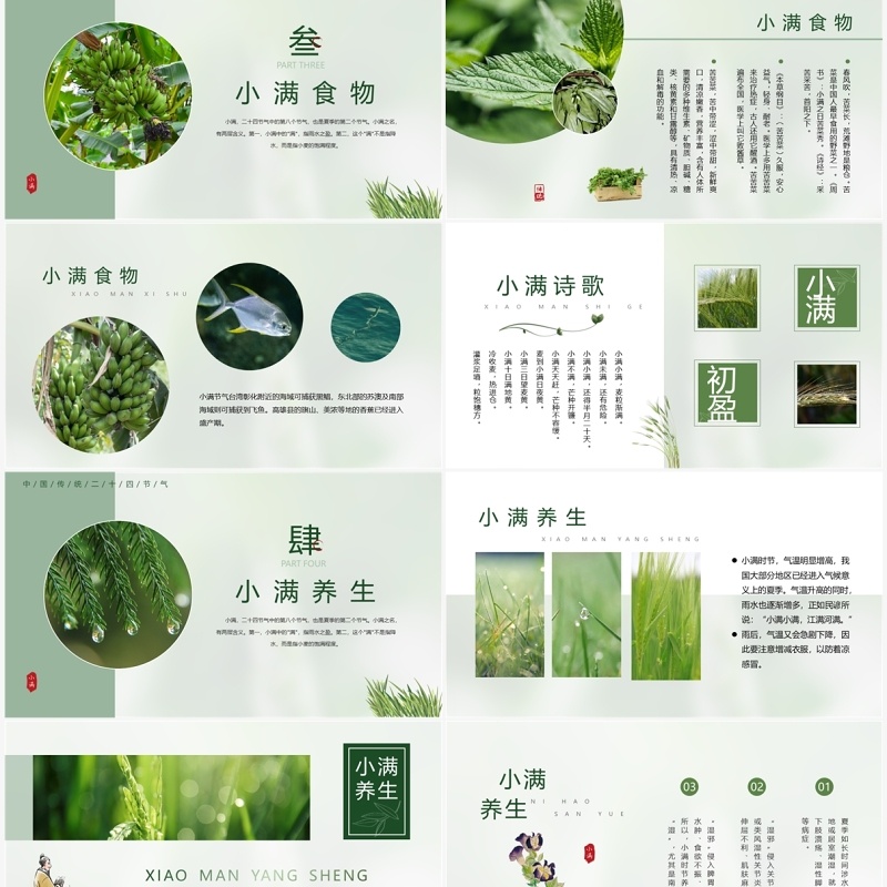 绿色中国风二十四节气之小满PPT模板