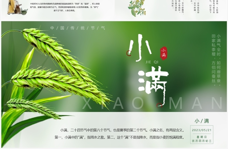 绿色中国风二十四节气之小满PPT模板