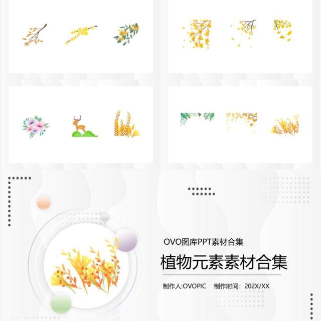 植物元素PPT素材合集 植物元素PPT素材合集