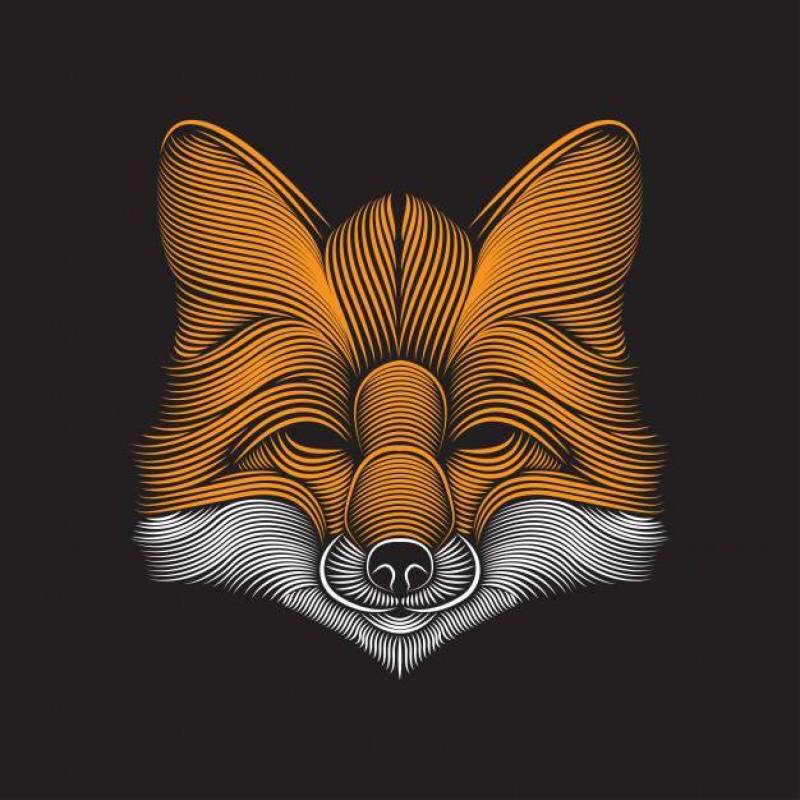 Fox line art illustration