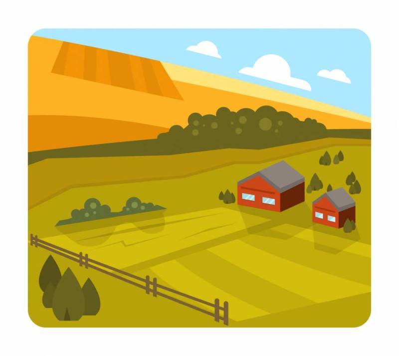 平坦的农场景观