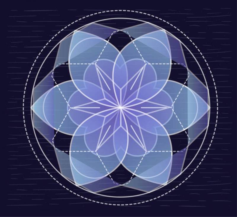 矢量手绘透明花卉图